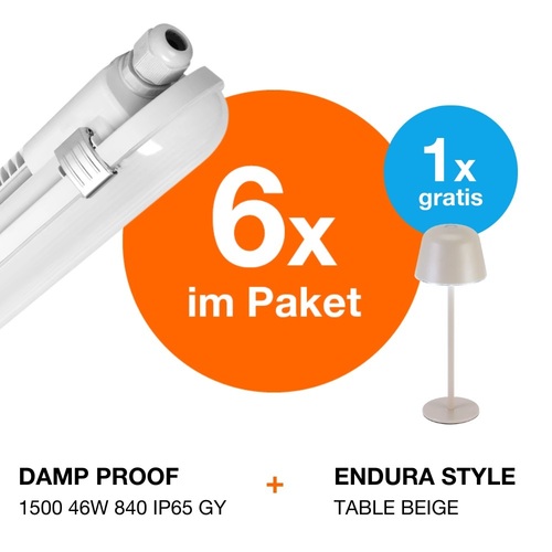 Ledvance FR-Leuchten-Paket beige 6xDP1500+Akkuleuchte LED-FR-Paket1 DP1500