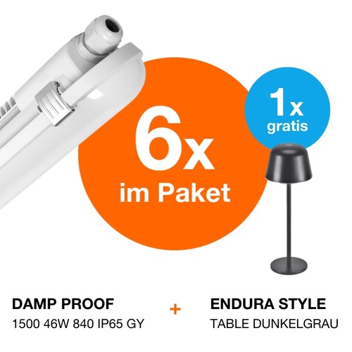 Ledvance FR-Leuchten-Paket grau 6xDP1500+Akkuleuchte LED-FR-Paket2 DP1500