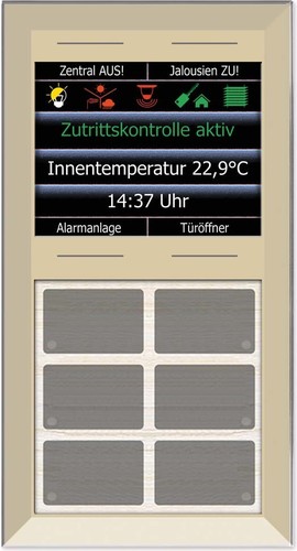 Issendorff Glas Infotastenfeld 6+4 Tasten, champ. LCN - GTS10DC