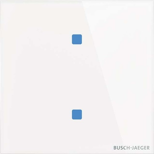 Busch-Jaeger Touch-Bedienelement 2-fach TB/U2.4.11-CG