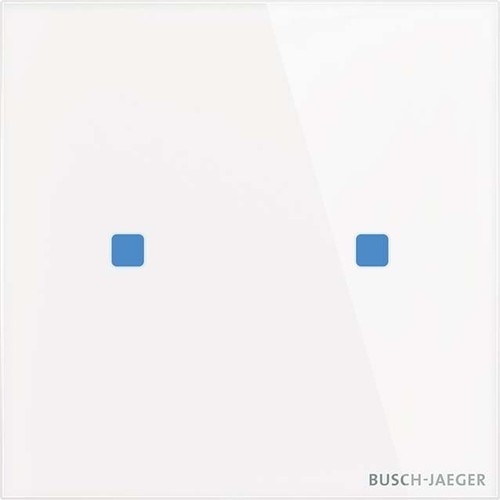 Busch-Jaeger Touch-Bedienelement 2-fach TB/U2.5.11-CG