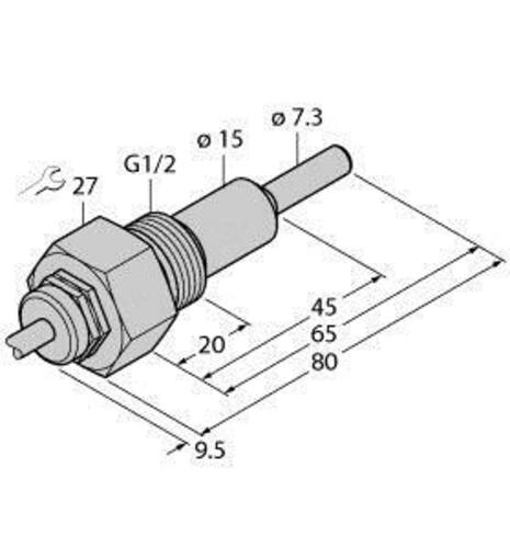 Turck Eintauchsensor FCS-G1/2H #6870358