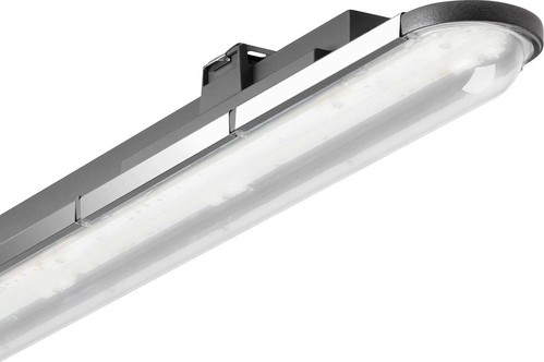 Trilux LED-Feuchtraumleuchte 4000K DALI anthr. Nextrema G3 #7364351