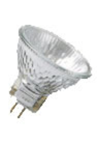 Scharnberger+Hasenbein NV Halogenglühlampe GU4 12V 10W 36° 42007