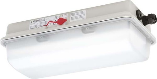 Schuch Licht LED-Ex-Notleuchte IP66, SK I e856F L05/3/2,5