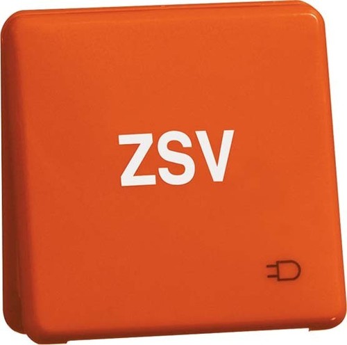 Peha Steckdose D80.6611K ORANGE ZSV