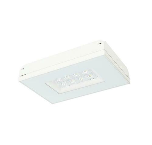 Fischer LED-Sicherheitsleuchte MXDE129