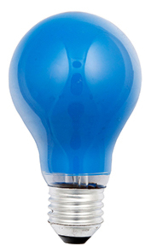 Scharnberger+Hasenbein Glühlampe B60x105mm E27 230V 25W blau 40248