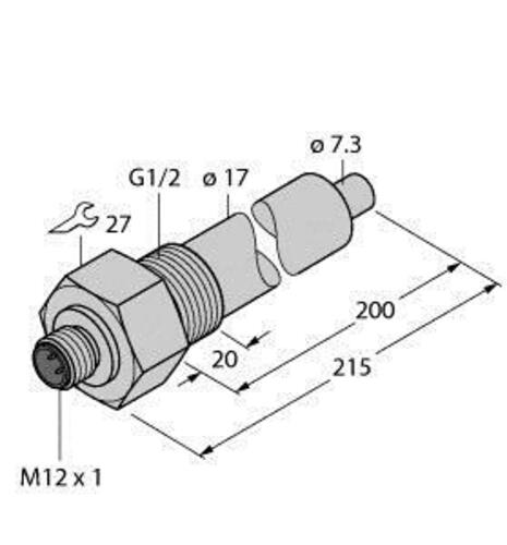 Turck Eintauchsensor FCS-G1/2A #6870361