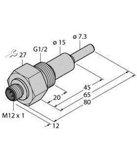 Turck Eintauchsensor FCS-G1/2A #6870375