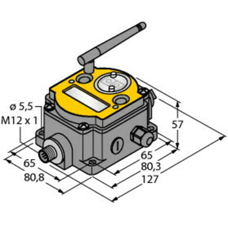 Turck Funksystem DX80N2X6S-P8