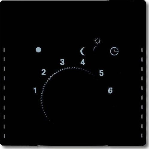 Busch-Jaeger Zentralscheibe schwarz mt Temp.Regl.m.Nachtabs 1795-885