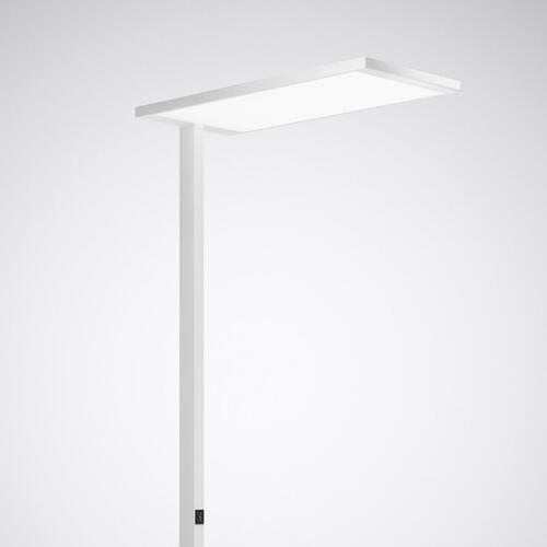 Trilux LED-Stehleuchte 840, DALI, weiß Luceos S G2 #7938951