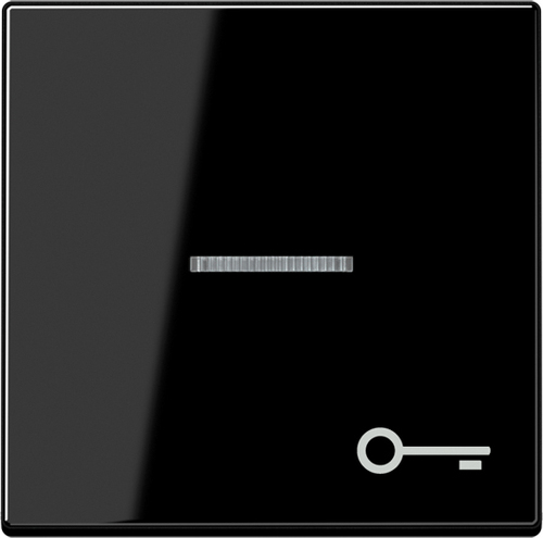 Jung Wippe Symbol Tür bel. schwarz A 590 BFKO5 T SW