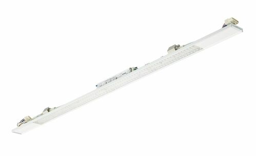 Philips Lighting LED-Universallichtträger 840, DALI LL515S 80S #44059399