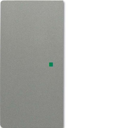 Busch-Jaeger Wippe grau/met solo 6230-20-803