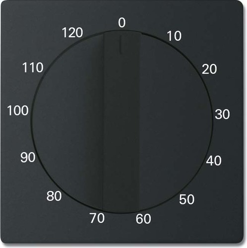 Busch-Jaeger Zentralscheibe sw/matt Bedienelement 1771-885-103