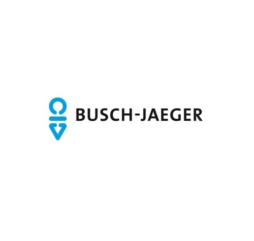 Busch-Jaeger Feinsicherung 6,3AF 2173