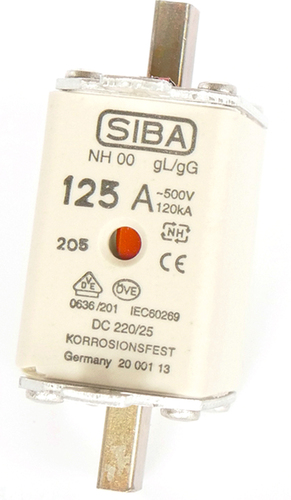 Siba NH-Sicherungseinsatz 100A NH00 gB 500V 2000103.100