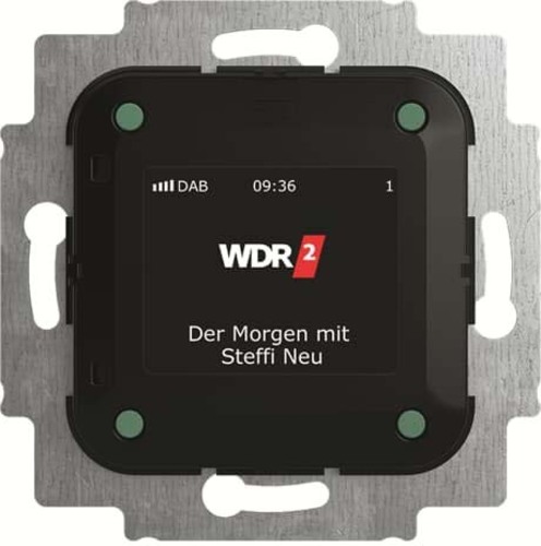 Busch-Jaeger Busch-Radio DAB+ 8215 U-101