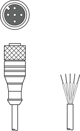 Leuze Anschlussleitung KD S-M12-5A-P1-050