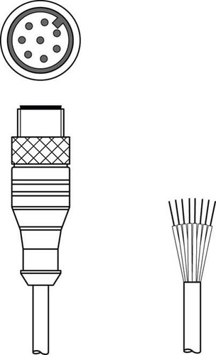 Leuze Anschlussleitung KS S-M12-8A-P1-050