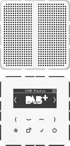 Jung Smart DAB+ Digitalradio Display,SetMono,1LS DAB CD1 WW