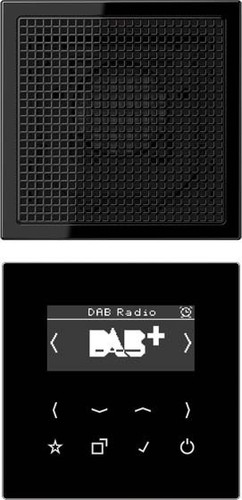 Jung Smart DAB+ Digitalradio Set Mono 1LS DAB LS1 SW