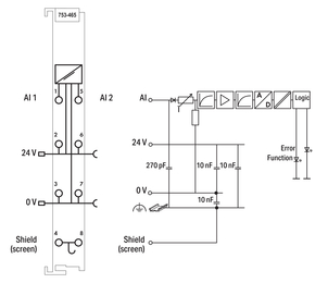 WAGO GmbH & Co. KG 2-Kanal-Analogeingang lichtgrau 753-465