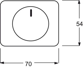 Busch-Jaeger Zentralscheibe stws gl für Drehdimmer 6540-24G