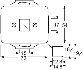 Busch-Jaeger Zentralscheibe stws gl für 1 Modular Jack 2561-24G