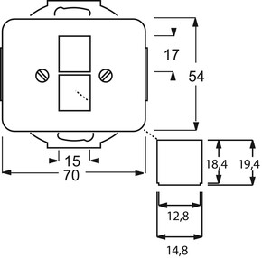 Busch-Jaeger Zentralscheibe stws mt für 2 Modular Jack 2561-02-24