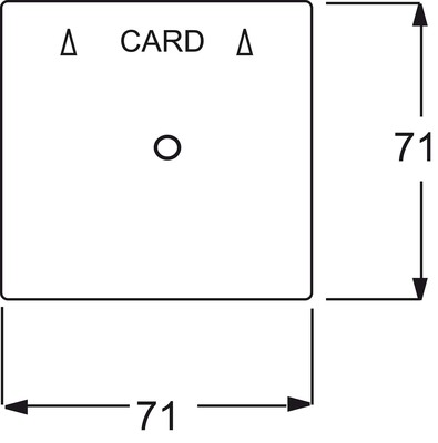 Busch-Jaeger Zentralscheibe cham für Cardschalter 1792-79