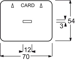 Busch-Jaeger Zentralscheibe stws gl für Cardschalter 1792-24G-101