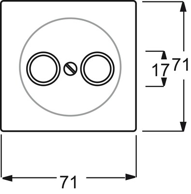 Busch-Jaeger Zentralscheibe alu/si f.Antennendose 2Loch 1743-783