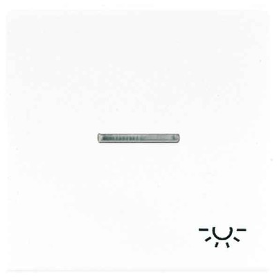 Jung Wippe Sym.LICHT/Lichtl.sw für beleuchtb.Taster LS 990 KO5 L SW