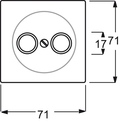 Busch-Jaeger Zentralscheibe stws mt f.Antennendose 2Loch 1743-774