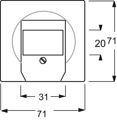 Busch-Jaeger Zentralscheibe stws mt f.UAE/TAE/LS 1766-774