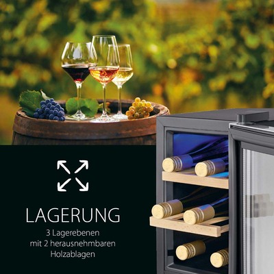 PROFI COOK Glastür-Kühlgerät Weinkühler PC-WK 1231 sw-inox