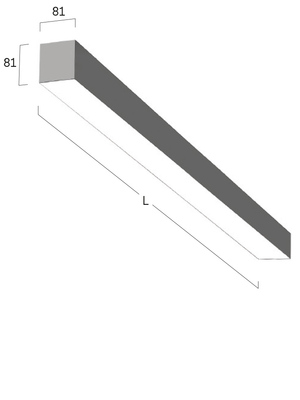 Lightnet LED-Anbauleuchte 4000K, schwarz LA5ABE-840E-L890