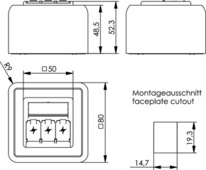 Telegärtner Modulaufnahme 80x80, 3-fach AP 100021385