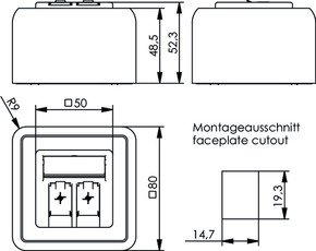 Telegärtner Modulaufnahme 80x80, 2-fach AP 100021396