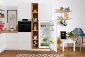 Gorenje EB-Kühlgerät Schlepptür,CrispZone RI412EE1