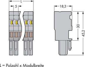 WAGO GmbH & Co. KG Federleiste 4pol. gr 769-104