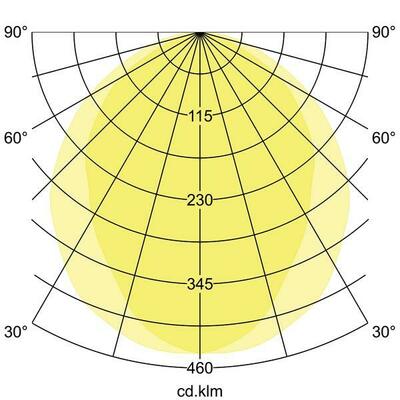 Brumberg Leuchten LED-Pendel-Ringleuchte D2500mm, H100mm 13528183